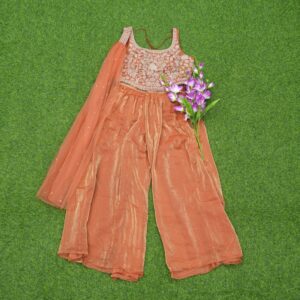 Orange Color Designer Sharara Set
