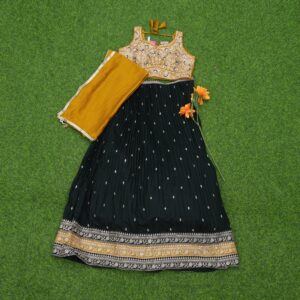Brown and Black Color Designer Crop Top Lehenga Set