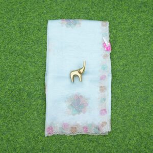 Blue Work Saree with Designer Work Border