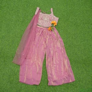 Pink Color Designer Sharara Set