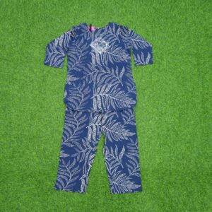 Blue Color Leaf Print Co-ord Set