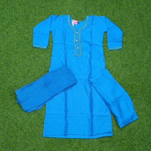 Blue Color Embroidered Designer Dress