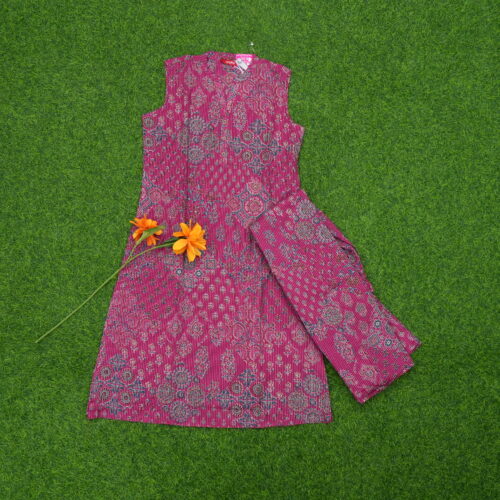 Pink Color Kalamkari Print 2-Piece Designer Dress