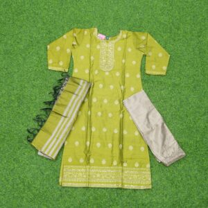 20 1350 parrot green Green Mixed Cotton Designer Dress with Embroidered Yoke