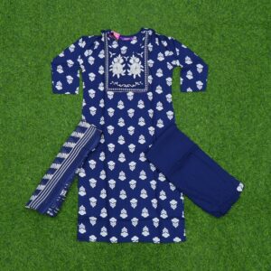 Blue Color Thread Embroidered Designer Dress