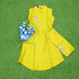 Parrot Green Color Designer Dress