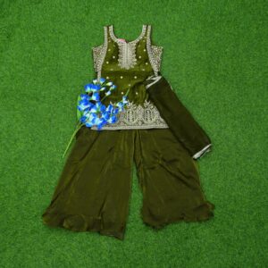 Mehendi Green Color Embroidered Georgette Designer Sharara Set