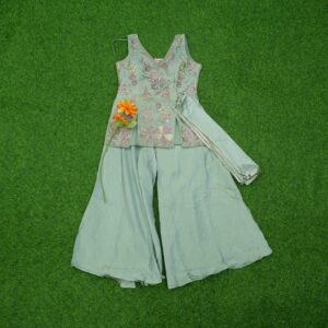Pastel Mint Green Color Embroidered Georgette Designer Sharara Set