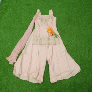 Peach Color Embroidered Georgette Designer Sharara Set