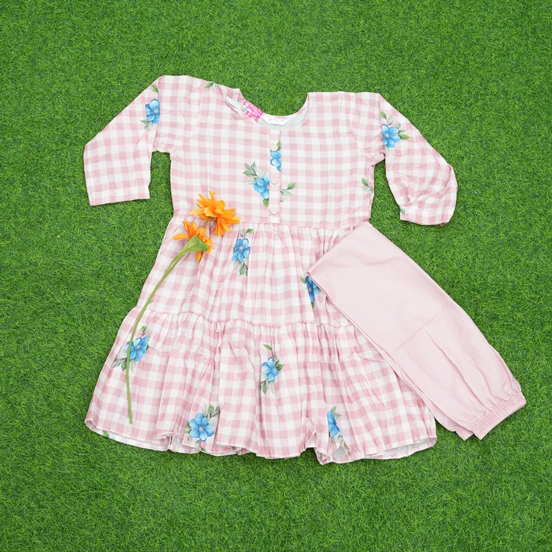 Baby Pink Color Checks Frock Dress with Floral Embroidered