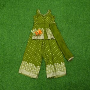 Green Color Embroidered Georgette Designer Sharara Set