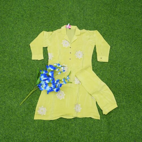 Pale Lime Green Color 2pc Designer Dress