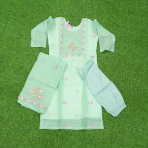 Pista Green Color  3pc Designer Dress