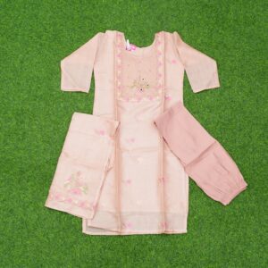 Peach Color 3pc Designer Dress