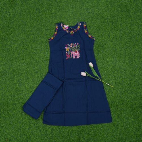 Blue Color 2-Piece Floral Embroidered Designer Dress