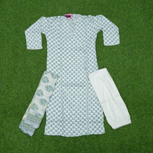 White and Blue Color Ethnic Floral Block Motifs 3-Piece Designer Dress