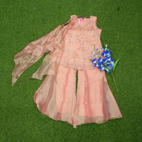 Peach Color Georgette Floral Embroidered Designer Sharara Set