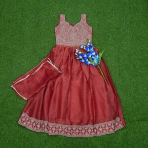 Rust Maroon Color Embroidered Georgette Designer Long Frock