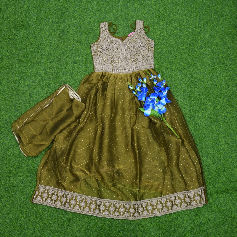 mehndi green color dress Mehendi Tissue Silk Embroidered Anarkali 2-Piece Designer | She Needs fuchsia sequin mini dress