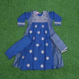 Blue Color Designer Dress