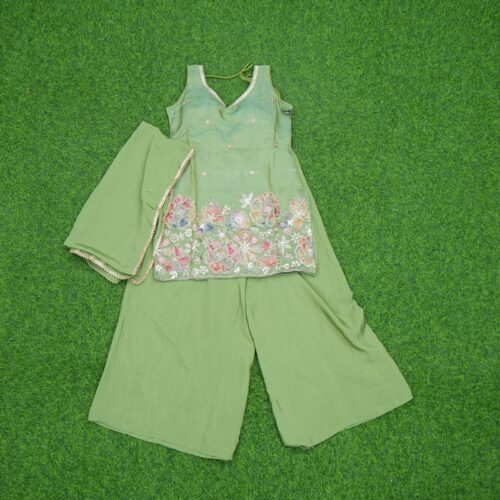 Pista Green Color Floral Thread Embroidered Georgette Sharara Set