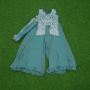 Sea Green Color Zari Embroidered Georgette Sharara Set