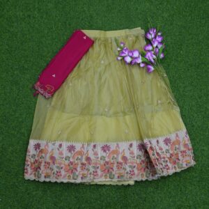 Pista Green and Rani Pink Color Tissue Paithani Half Saree