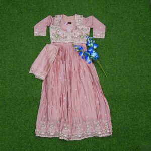 Onion Pink Color Floral Embroidered Designer Long Frock