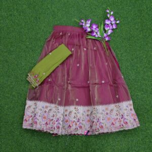 Maroon and Pista Green Color Tissue Paithani Half Saree