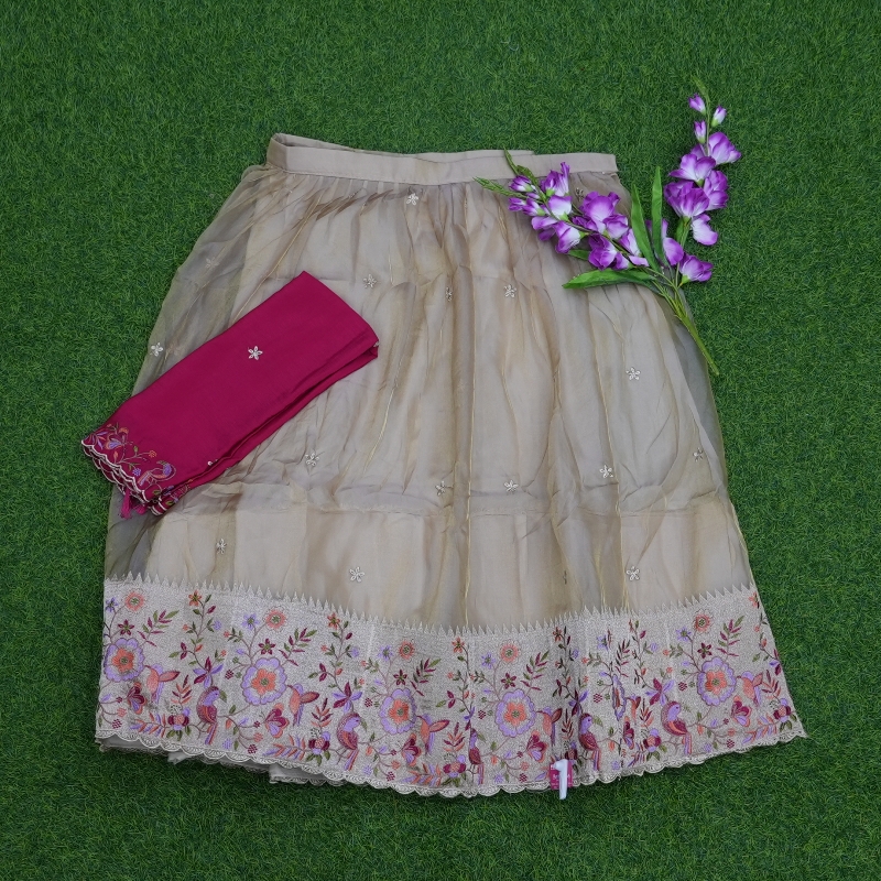 Cream and Rani Pink Color Paithani Style Border Half Saree